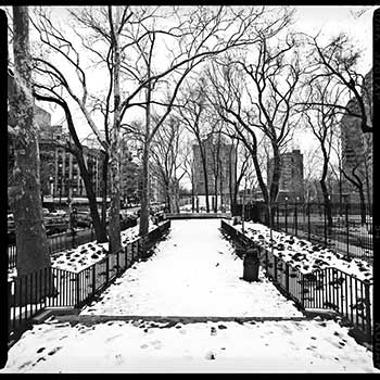 Seward Park Snow Seward Park Snow
