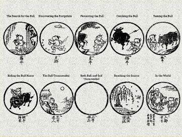 ox Ox Herding Pictures